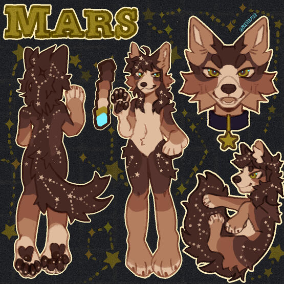 Front, back, portrait, feral